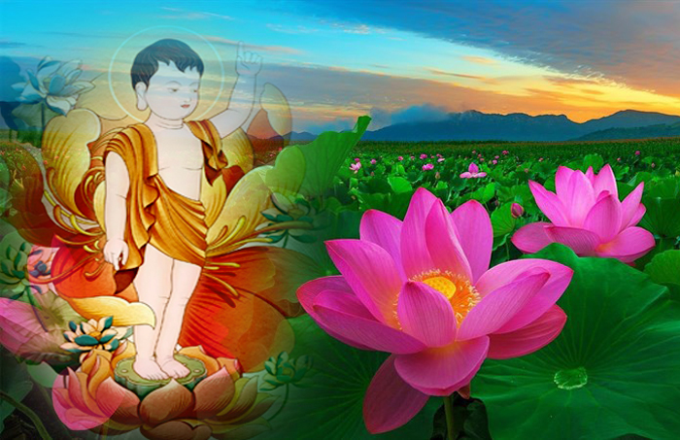 Bảy bước chân đi – Tiêu biểu bảy yếu tố giác ngộ